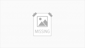 Image_Not_Found_1x_qjofp8.png