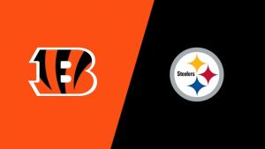bengals-steelers-week-18-1425.jpg