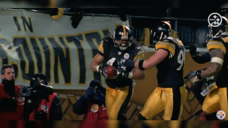 TroyPolamalu.jpg